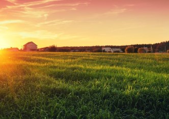 działka na sprzedaż - Wasilków (gw), Nowodworce, Krzywe Góry