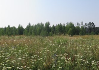 działka na sprzedaż - Zabłudów (gw), Kuriany