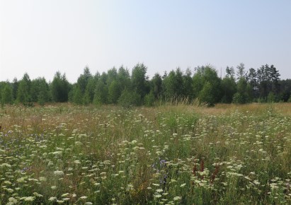 działka na sprzedaż - Zabłudów (gw), Kuriany