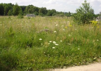 działka na sprzedaż - Zabłudów (gw), Halickie