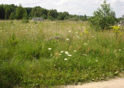 działka na sprzedaż - Zabłudów (gw), Halickie