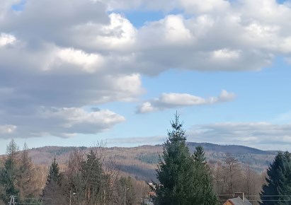 mieszkanie na wynajem - Jedlina-Zdrój