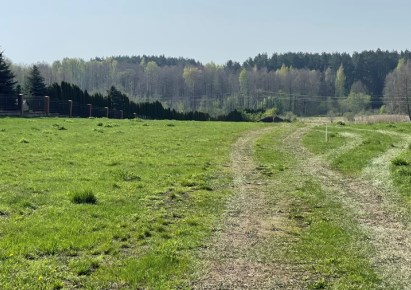 działka na sprzedaż - Juchnowiec Kościelny, Ignatki