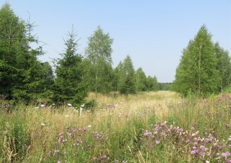 działka na sprzedaż - Zabłudów (gw), Kuriany