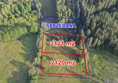 działka na sprzedaż - Pisz (gw), Wąglik