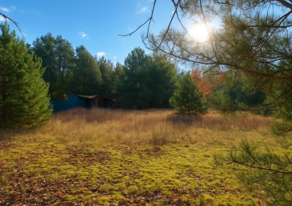 działka na sprzedaż - Krypno, Góra