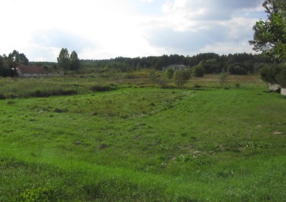 działka na sprzedaż - Dobrzyniewo Duże