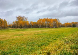 działka na sprzedaż - Turośń Kościelna, Baciuty-Kolonia, Brzozowa
