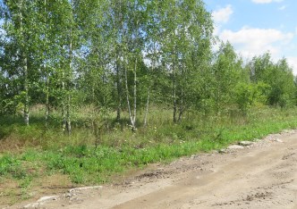 działka na sprzedaż - Zabłudów (gw), Kuriany