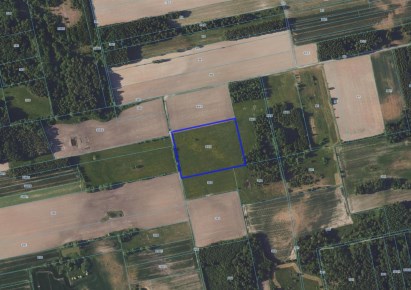 działka na sprzedaż - Orla, Malinniki