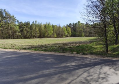 działka na sprzedaż - Milejczyce, Pokaniewo, Kolonia