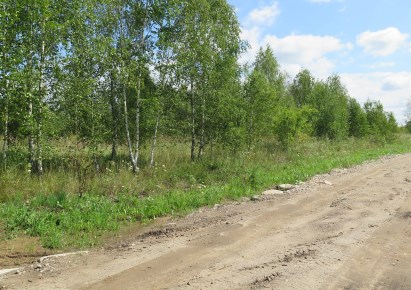 działka na sprzedaż - Zabłudów (gw), Kuriany