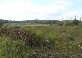 działka na sprzedaż - Juchnowiec Kościelny, Koplany