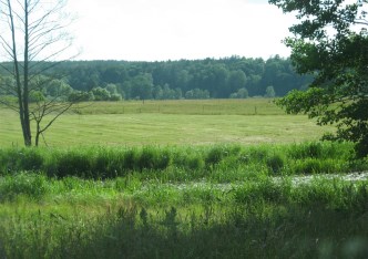 działka na sprzedaż - Mielnik, Osłowo