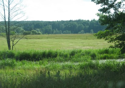 działka na sprzedaż - Mielnik, Osłowo